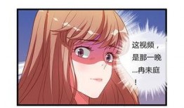 元芳动画爆料视频大全最新,精彩瞬间回顾与前瞻