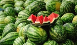 网红吃瓜群聚集地,网络社交新现象的聚集地